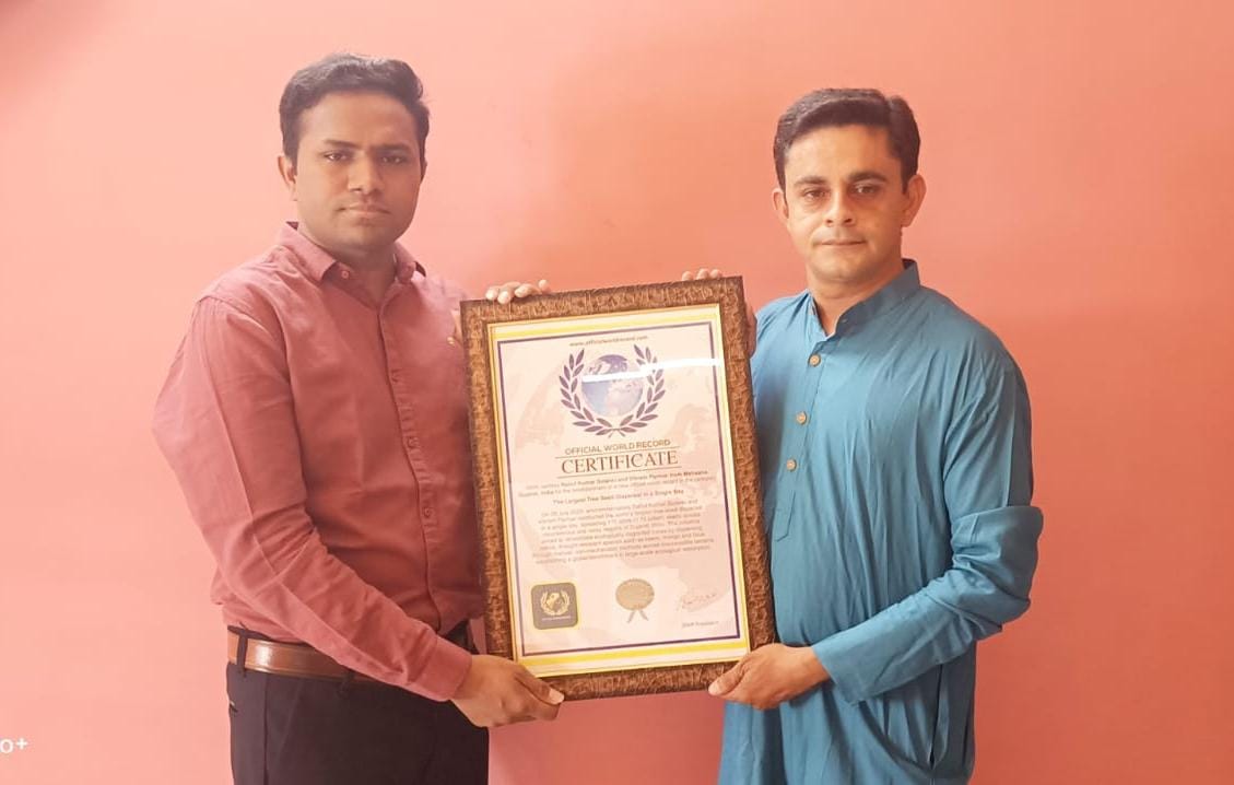 The Largest Tree Seed Dispersal in a Single Day