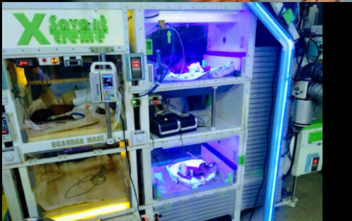 The World’s Largest Baby Incubator